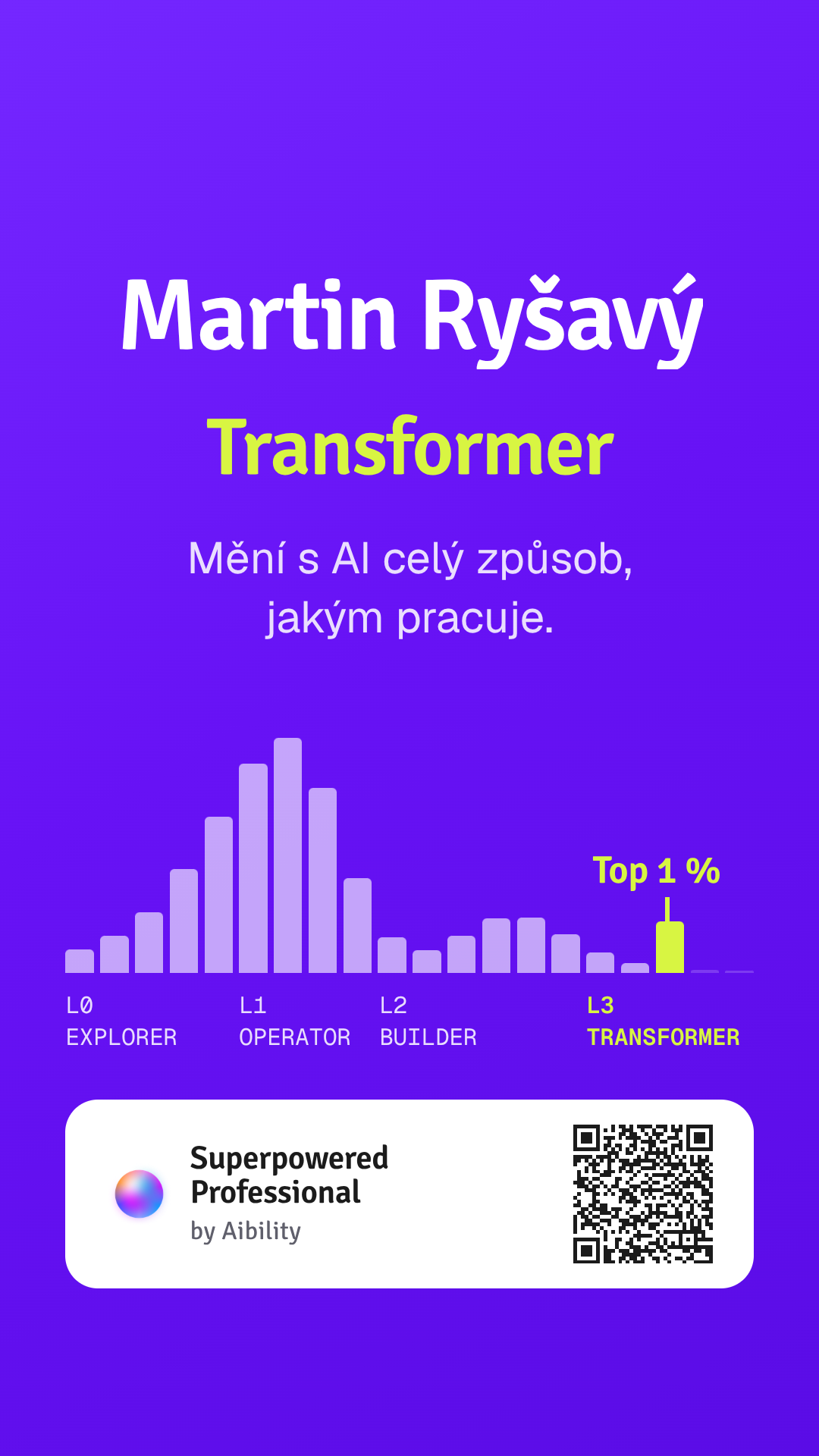Aibility Superpowered Professional assessment graphic for Martin Ryšavý showing the L3 Transformer level.